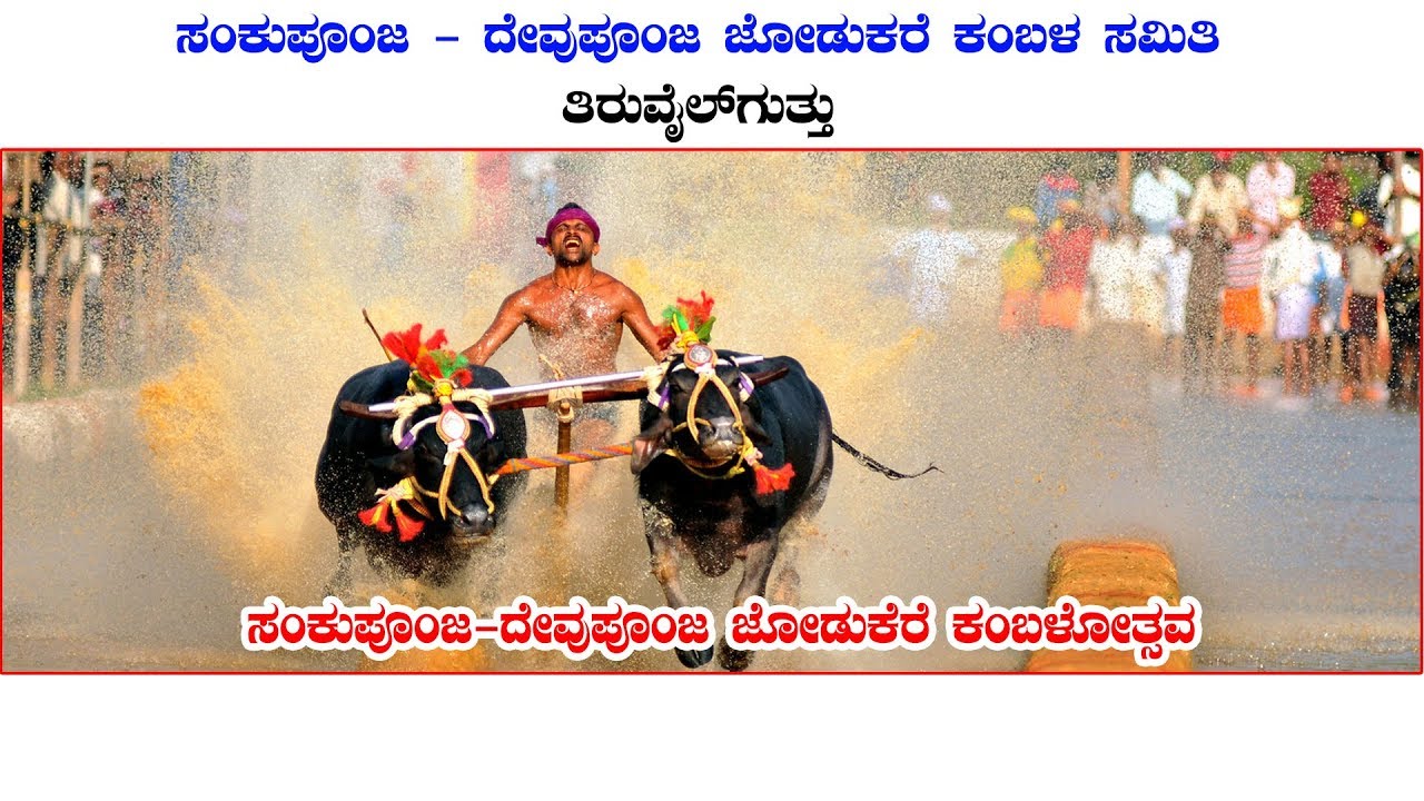 VAMANJURU KAMBALA