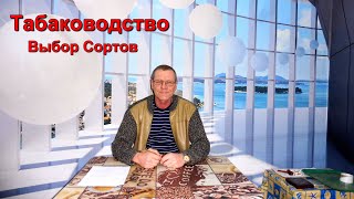 Табаководство: Планы Посева И Выбор Сортов Табака - На  Новый Сезон.