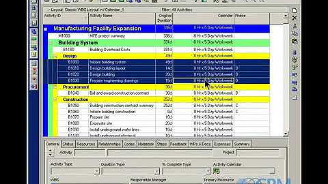 Primavera P6 Tutorial 4   Using Fill Down