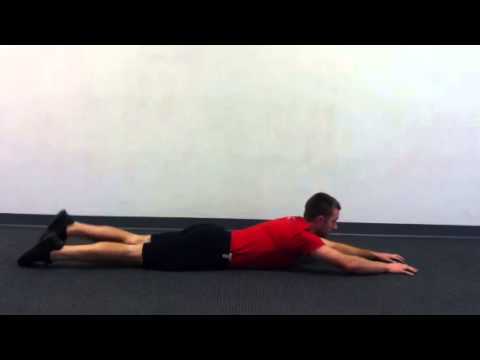 exercise 14.1 class 11 Beginner Cardio