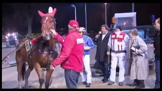 Ellageny Fred Handelaar Winnen Op Drafcentrum Alkmaar 15 Dec. 2015