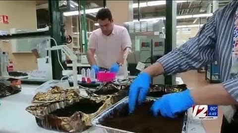 How your morning cup of coffee could help the planet