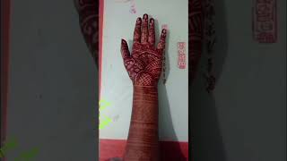 Ms Fashion World Mehndi Artist