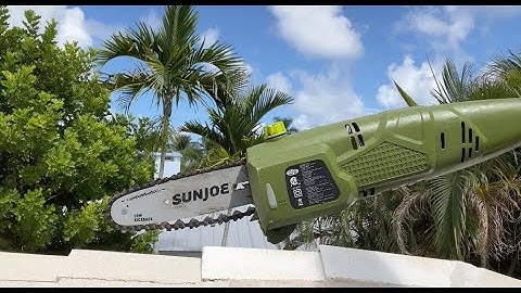Cutting Tree Branches with SunJose Expandable Chainsaw