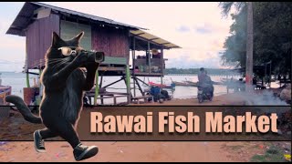 An Authentic Tour of Rawai Fish Market. Phuket. Thailand. 4K