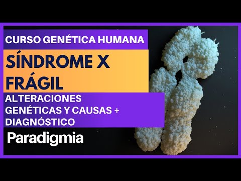 Vídeo: Síndrome X Frágil: Causas, Síntomas Y Diagnóstico