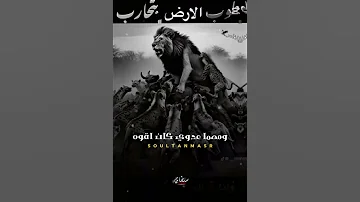 من طواب الأرض بتحارب 