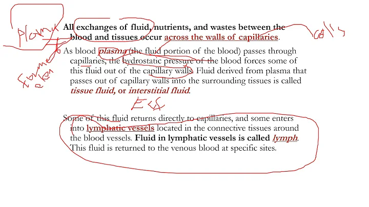 BLOOD, HEART AND  BLOOD VESSELS  1 VEDIO