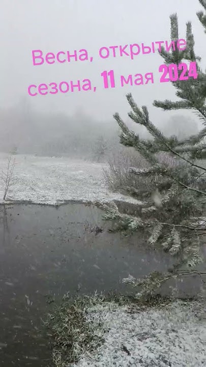 #удмуртия #россия #дача Приехали на дачу, погода радует, майские ...