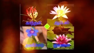 VAAGAI VAIYA THALAMAI KOL - Sanga ilakkiya malargal