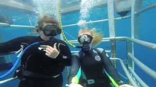 Shark Cage Diving with Adventure Bay Charters