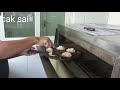 pizza mini Margherita #video #food #pizza