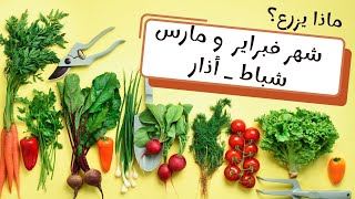 ماذا يزرع شهر 2 و 3 فبراير مارس (شباط، آذار)