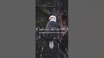 ﴿ حمۤ ﴾ سورة الشورى ياسر الدوسري أكتب شيء تؤجر عليه افعل الخير ولا تستسغره فلا تدري اي عمل يدخلك جنة