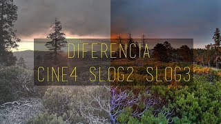 Slog2 vs Slog3 & Cine4 Sony Apha Español
