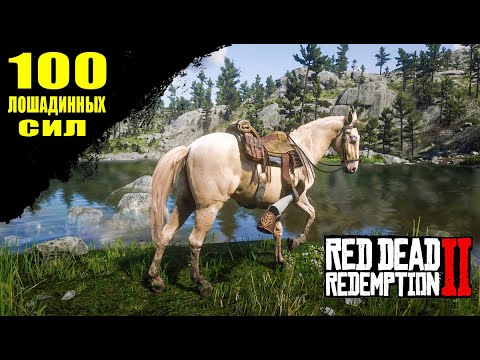 RDR 2 Мощный Голландский конь БЬЮЭЛ