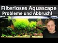 Filterloses Aquascape - PROBLEME UND ABBRUCH! DIY Filterung