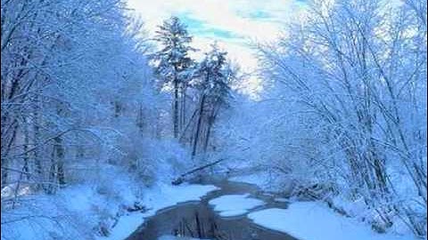 تلاوة بصوت القارئ فيصل الرشود ........أترك لكم التعليق !!