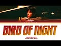 TAEHYUN TXT Bird Of Night Lyrics Color Coded Lyrics TAEHYUN TXT Bird Of Night Lyrics Color Coded Lyrics