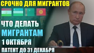 Срочно! Что Делать Мигрантам После 30 Сентября. Продление Регистрации После 30 Сентября