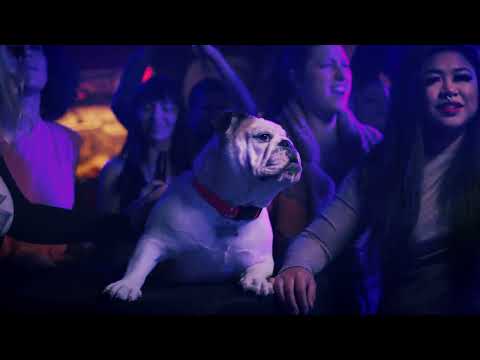 2024 Have Your Day In Cleveland - Puppy Bowl ad