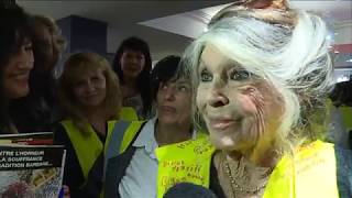 Brigitte Bardot, invitée-surprise d'une réunion de gilets jaunes dans le Var