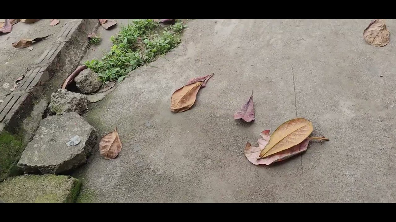 @ trek emonda sl6 2023 carbon FIBER size 47 các bác quan tâm lh zalo 0357211979 0978870135 Síp hàng 