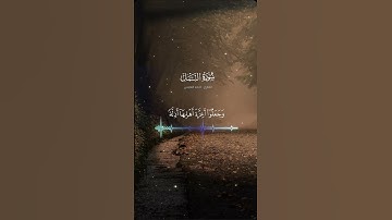 سوره النمل بصوت الشيخ احمد النفيس #لايك #اكسبلور #حالات_واتس #فولو #اكسبلورر #راحة_نفسية #دويتو