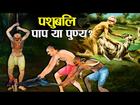 वीडियो: क्या भेड़ें इंसानों के अनुकूल होती हैं?