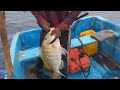 Fishing catching  90 meters of water  amazing fishermen handline fishing indian ocean