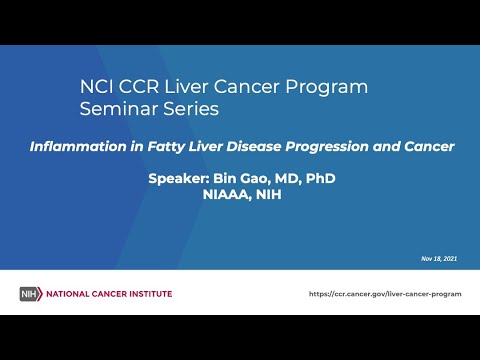 Inflammation in Fatty Liver Disease Progression and Cancer