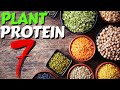 Top 7 Sources of Plant Protein