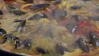 Reportaje Bar Plaza Seron