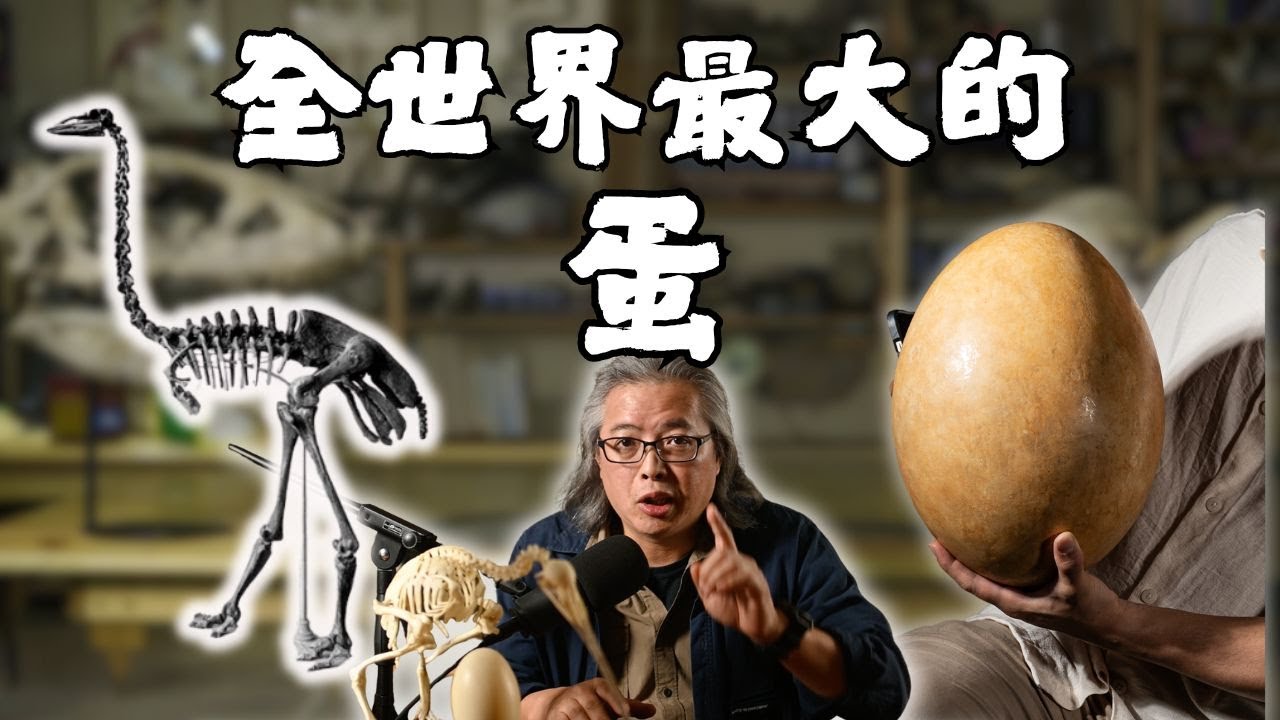 一顆蛋餵飽一整個村莊？世界最大蛋的主人消失了