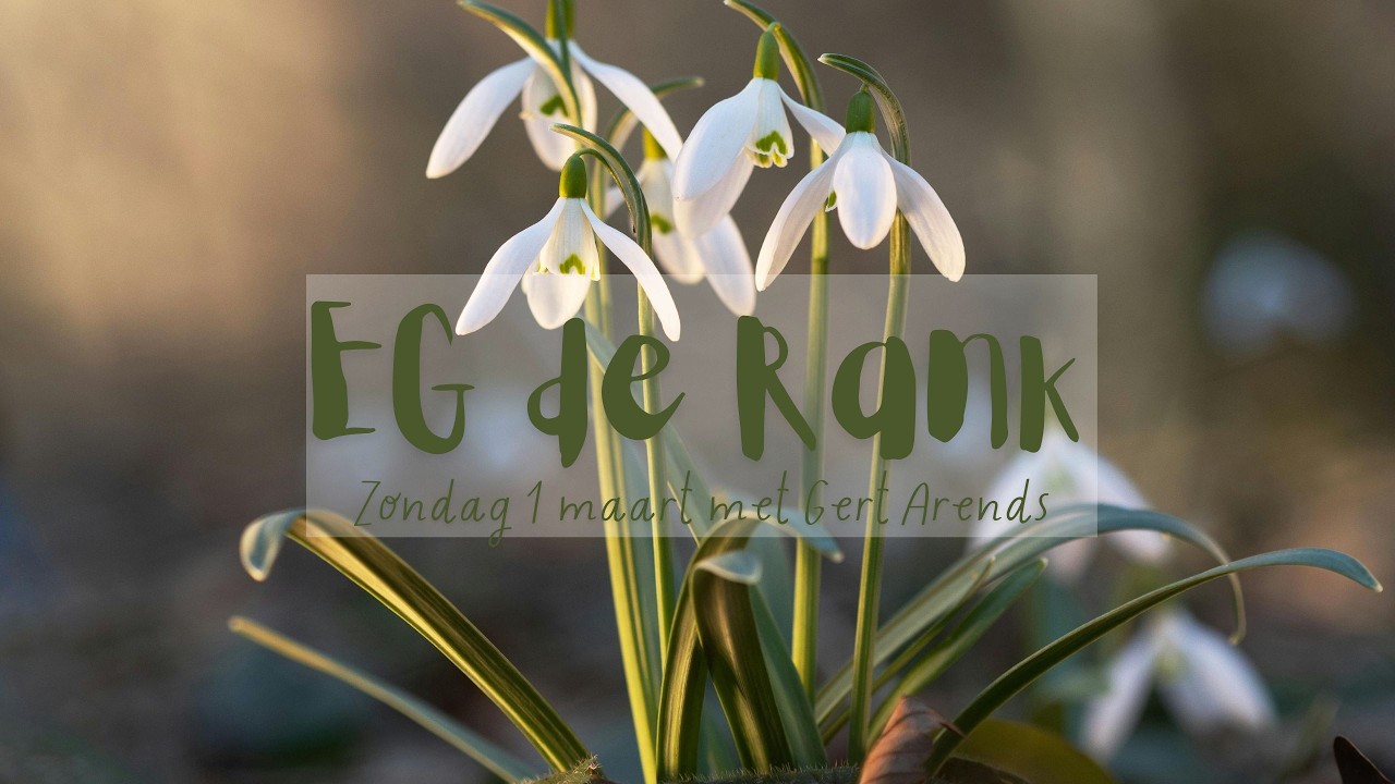 Kerkdienst EG De Rank | 1 maart 2026