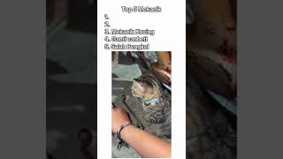 Download Lagu Top 5 kegoblokan mekanik 😭 #shorts #top5 #moments MP3