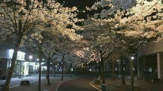 My Love   Lee Hi Scarlet Heart Ost Easy S