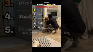 🐶Ranking Dogs Who Absolutely REFUSED to Listen