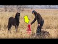 This Wild Horse Patiently Waited To Thank His Rescuer In The Most Heartwarming Way