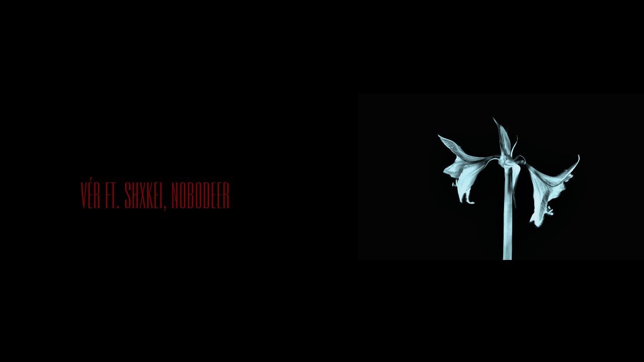 vér ft. Shxkei, Nobodeer
