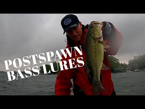 Lures to Catch Post Spawn Largemouth Bass 