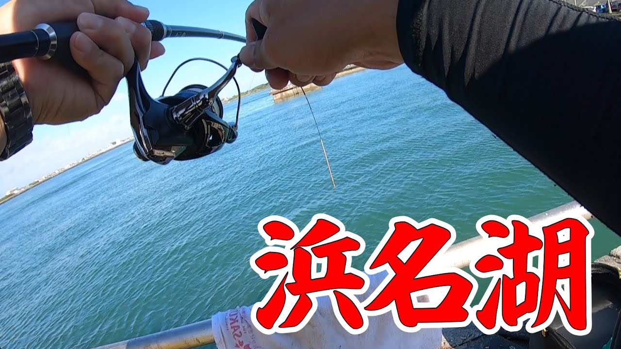 【浜名湖でかぶせ釣り】釣り/海釣り/かぶせ釣り/静岡県/浜名湖/新居/グレ/チヌ/クロダイ/コブダイ/イシダイ