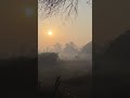 Gaon ki subah #mini_vlog #shortvideo #trending