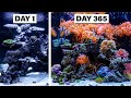 I created a vivid indoor ocean in 365 days