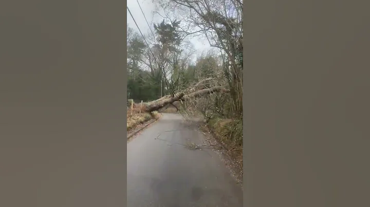 Storm Eunice Gillotts Lane (Chris Marson Video)