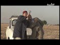      7 أحسن مقطع محمد الجم مسرحية ههههههه