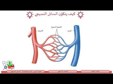 الصف الثاني عشر   المسار العلمي   الأحياء   الدم و اللمف 8   السائل النسيجي