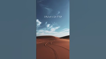 سورة الكافرون|القارئ شريف مصطفى