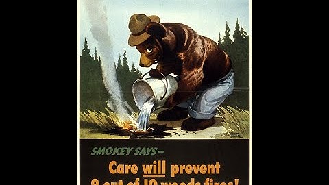 Smokey Bear - Only You Can Prevent Wildfires