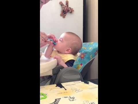 Первый кабачок